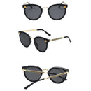 Óculos Vaidosa | Exclusivo Buzz